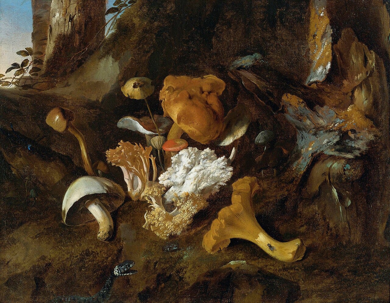 Dark forest floor with mushrooms, snake and moths Dark forest floor with mushrooms, snake and moths