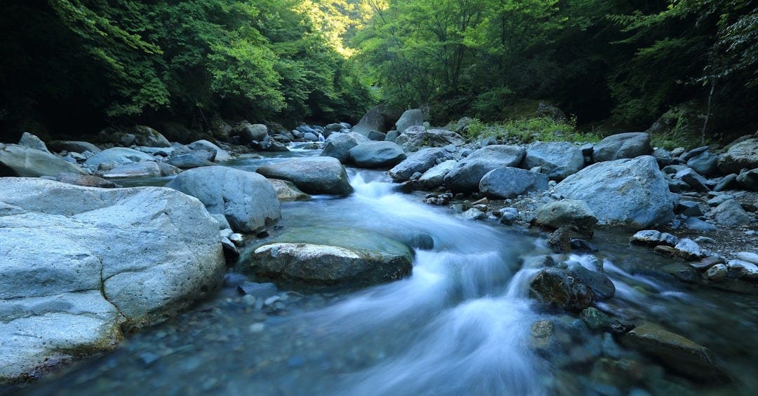 body river surrounded by dress