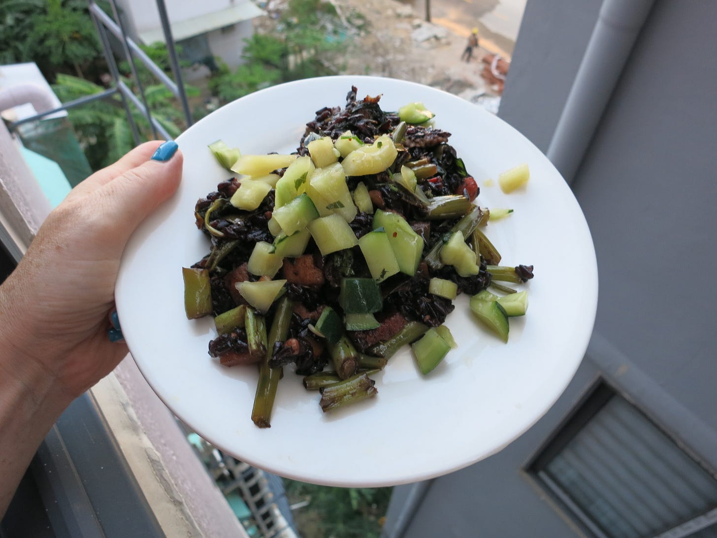 black fried rice with cucumbers