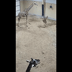 FIX IT! Tabs, Tues., March 24, 2026