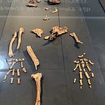 Anthropology.net