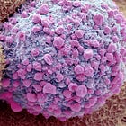 SARS-CoV-2 and the Gut