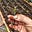 Farmer Rox Writes's avatar