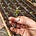 Farmer Rox Writes's avatar