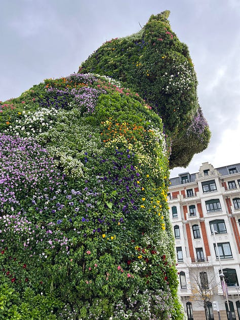 Bilbao from above, the Guggenheim entrance, Jeff Koons's "puppy"