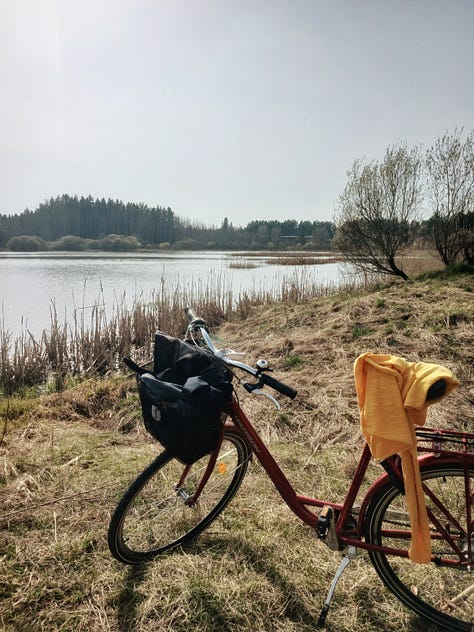 Kuvia Järvelän kosteikolta