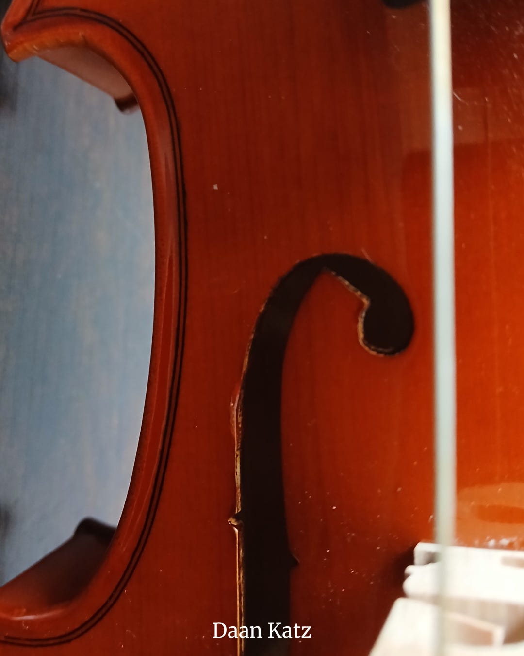 Close-up of the violin's strings crossing its wooden body.