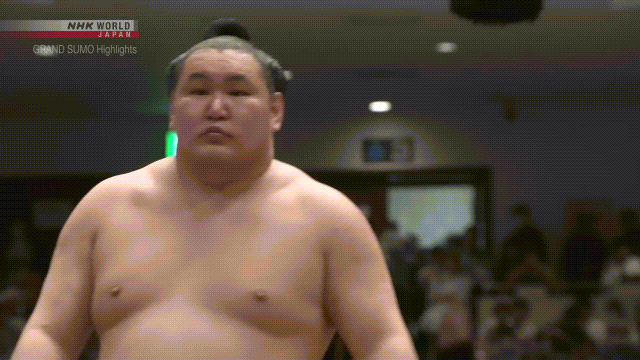 Sumo Stomp! | Tim Edwards | Substack