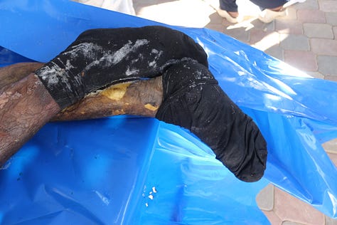 Gaza authorities publish shocking images of Israeli abuse as dozens of unidentified bodies are buried - Palestine Will Be Free