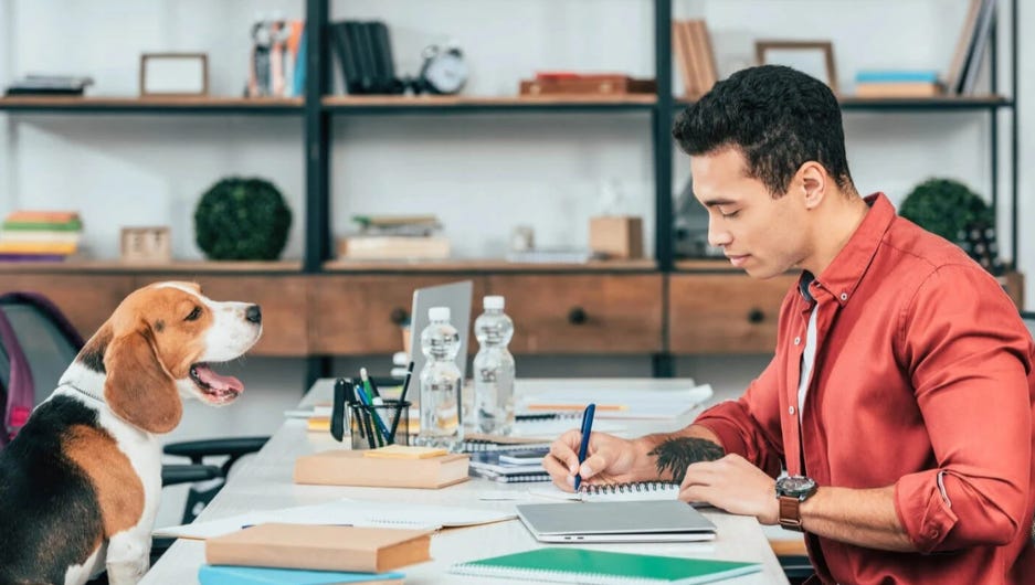 Small Business Collaboration - Roseburg Reader Small Business Collaboration - Roseburg Reader