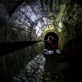 Item #214: a Curiosity