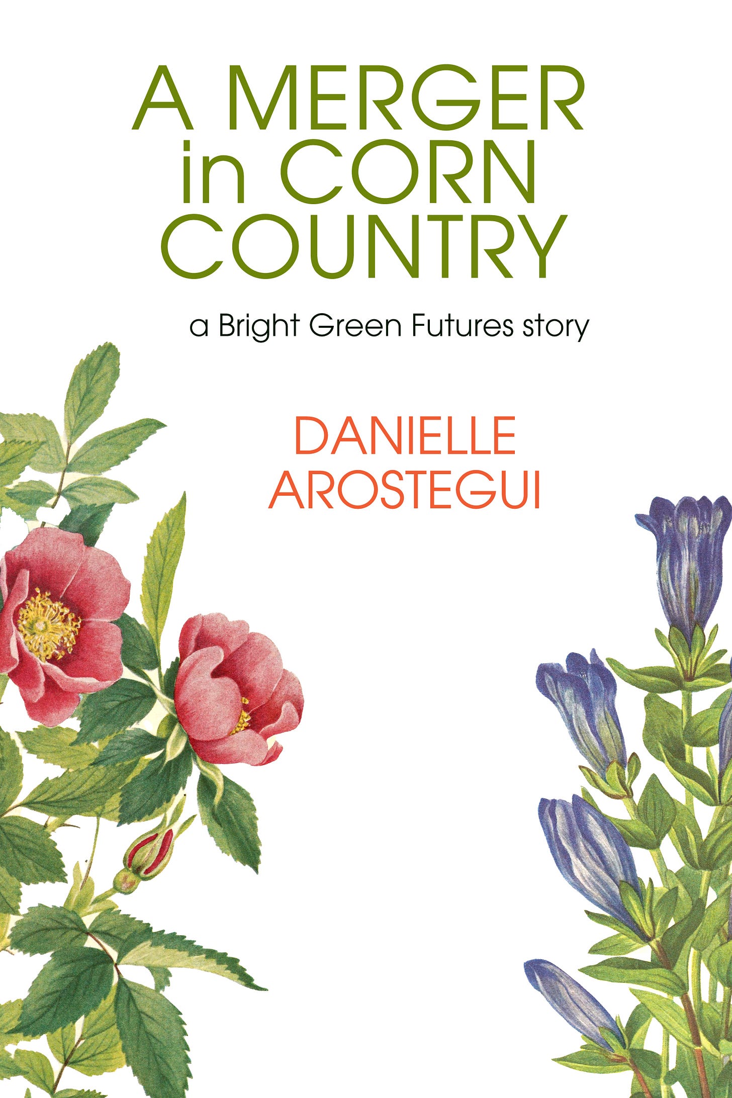 cover for A Merger in Corn Country by Danielle Arostegui