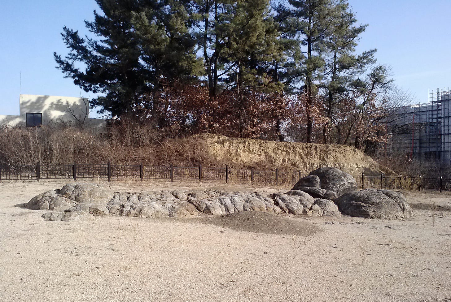 A stromatolite, a layered structure produced by microbial communities.