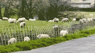 Some Dare Call It Treason! Tabs, Thurs., March 26, 2026