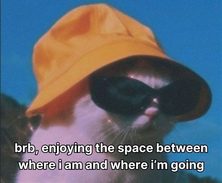 This may contain: a cat wearing a hat and sunglasses with the caption, brb, enjoying the space between where i am and where i'm going