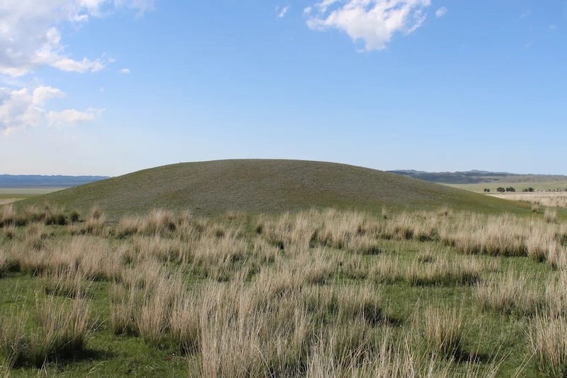 One of the kurgan burial mounds before excavation. Credit: Rinat Zhumatayev.