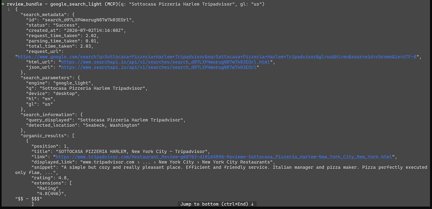 The “google_search_light” tool call The “google_search_light” tool call