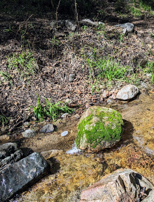 Photos of rocks covered in moss.
