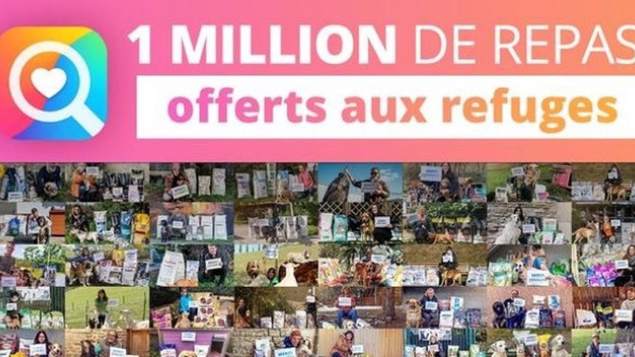 YouCare, le moteur de recherche caritatif, a atteint le million de repas offerts aux animaux des refuges