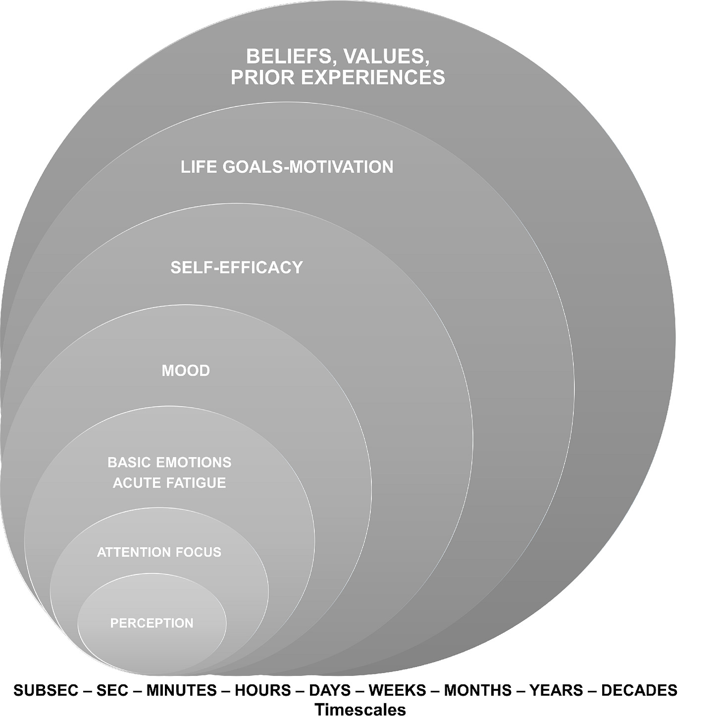 A figure showing how psychobiological constructs are nested with perception as the innermost circle, surrounded sequentially by attention focus; basic emotions and acute fatigue; mood; self-efficacy; life goals-motivation; and beliefs, values, and prior experiences. A figure showing how psychobiological constructs are nested with perception as the innermost circle, surrounded sequentially by attention focus; basic emotions and acute fatigue; mood; self-efficacy; life goals-motivation; and beliefs, values, and prior experiences.