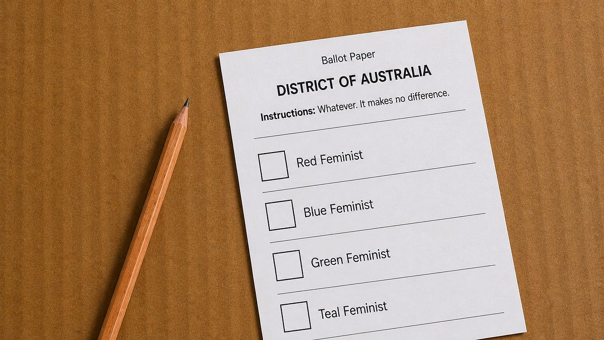 Feminism and Liberal Democracy
