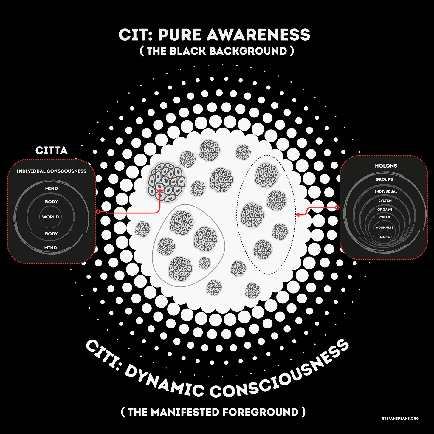 CIT, CITI & CITTA: Relationship between Pure Awareness, Dynamic Consciousness, and the Individual 