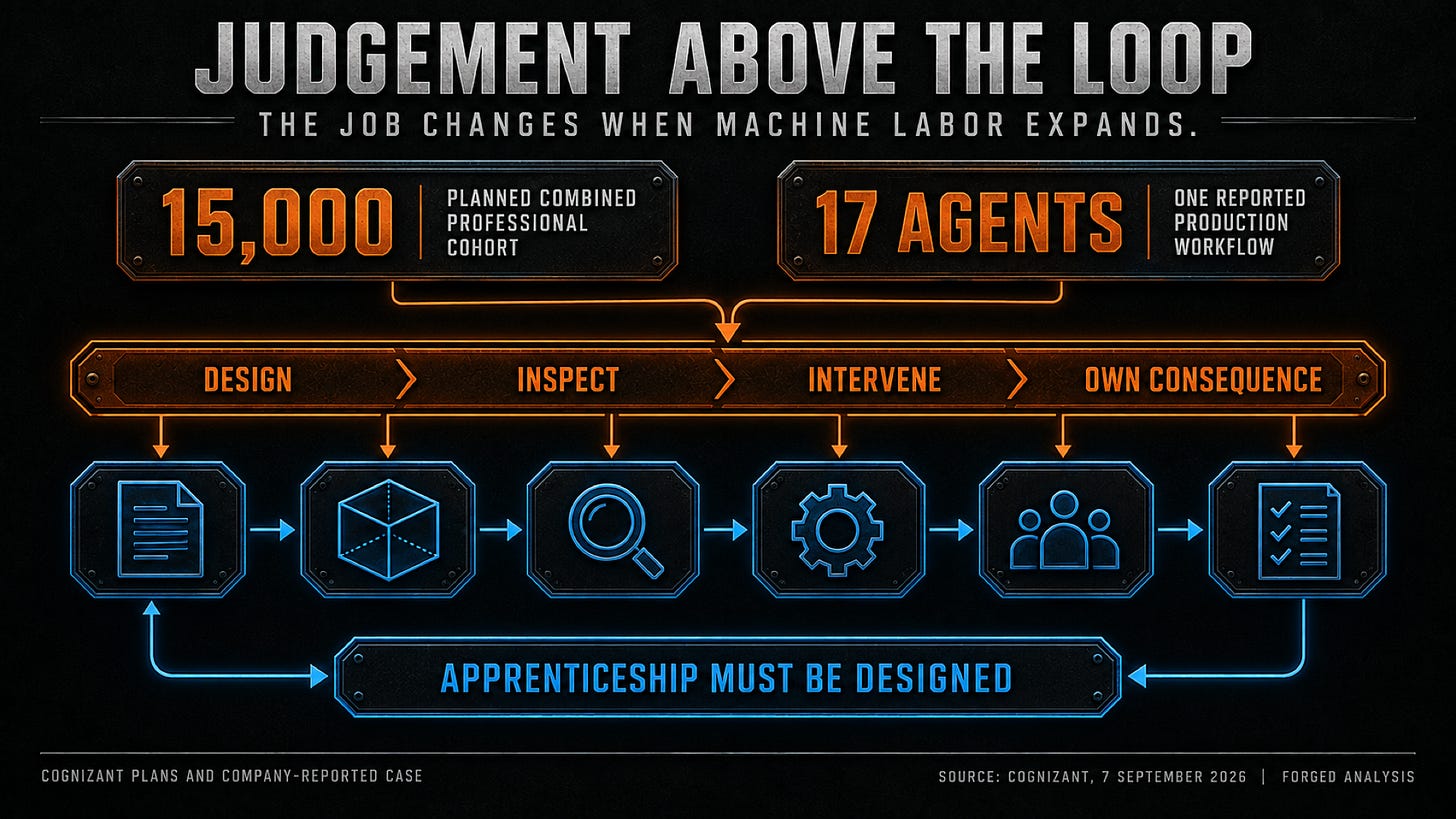 Cognizant's planned professional categories sit above an AI workflow, with controls for design, exceptions, intervention and accountability and a separate apprenticeship feedback path. Cognizant's planned professional categories sit above an AI workflow, with controls for design, exceptions, intervention and accountability and a separate apprenticeship feedback path.