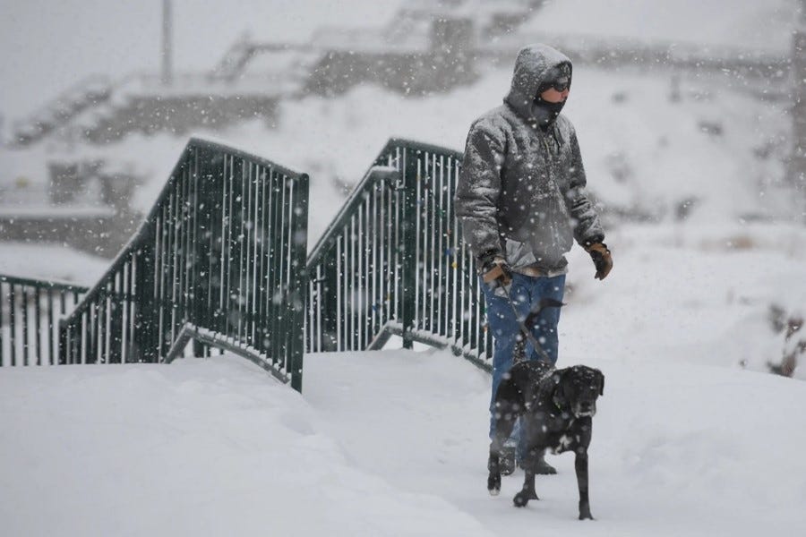 Person walking a dog through heavy snowfall on a snow-covered bridge during a winter storm.