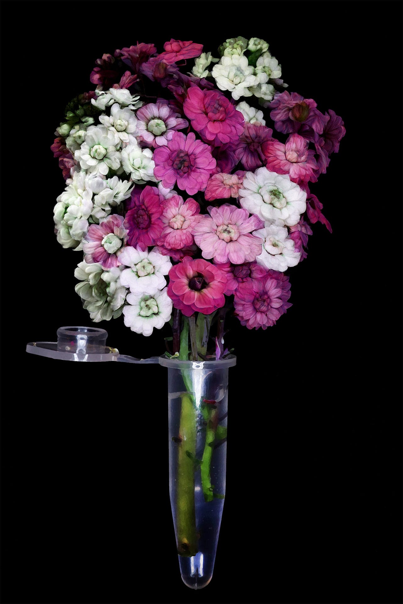 The Flower Designer - by Niko McCarty - Asimov Press