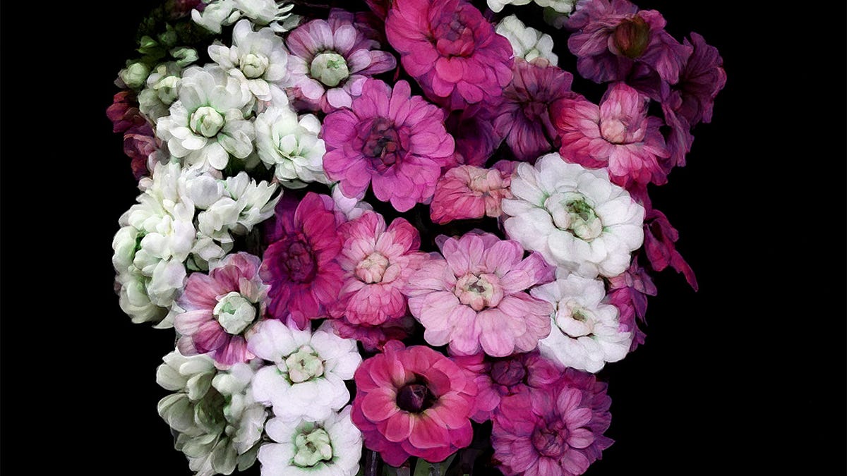 The Flower Designer - by Niko McCarty - Asimov Press