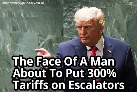 May be an image of 1 person and text that says '@funnysnarkyjoke.bsky.social The Face Of A Man About To Put 300% Tariffs on Escalators'