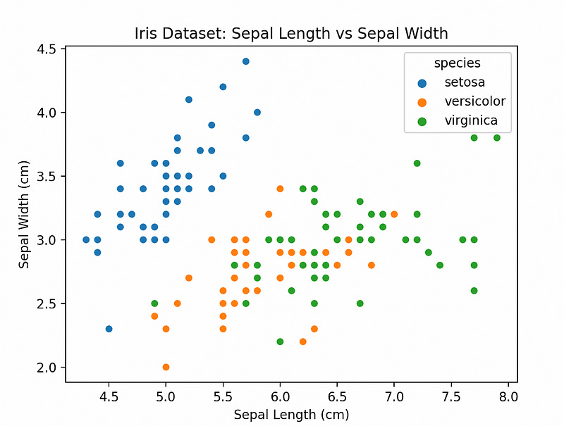 Top Python Libraries for Data Science
