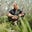 Nicholas Whitaker's avatar
