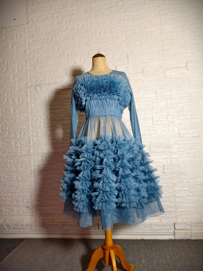 May include: A blue tulle dress with a ruffled bodice and skirt. The dress is on a mannequin and has long sleeves.