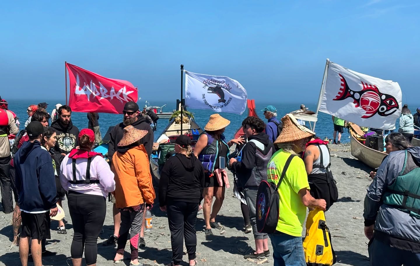 May be an image of 11 people, orca, crowd and text.jpeg May be an image of 11 people, orca, crowd and text.jpeg