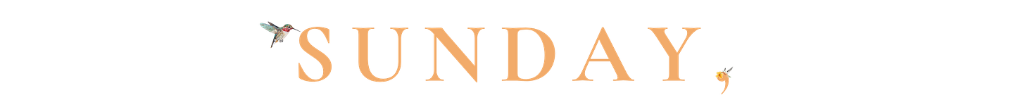 slow living april, spring home reset ideas, buy once appliances worth it slow living april, spring home reset ideas, buy once appliances worth it