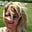 Christina Gombar's avatar