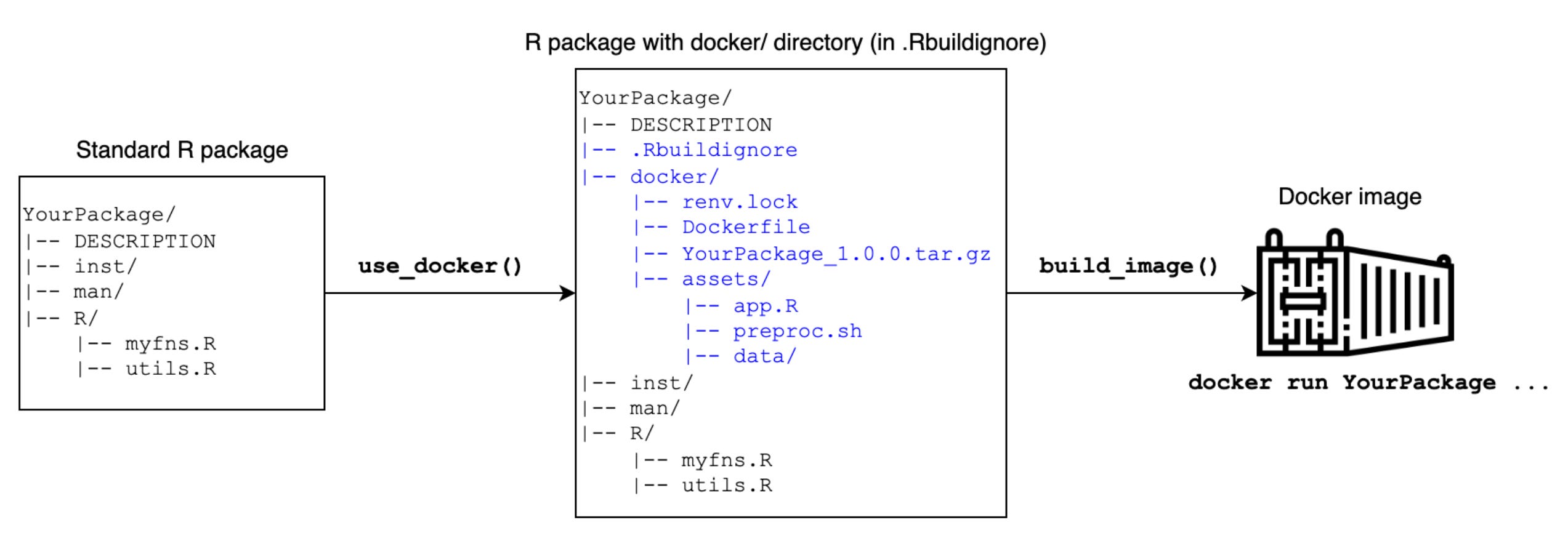 R package development in Positron - by Stephen D. Turner