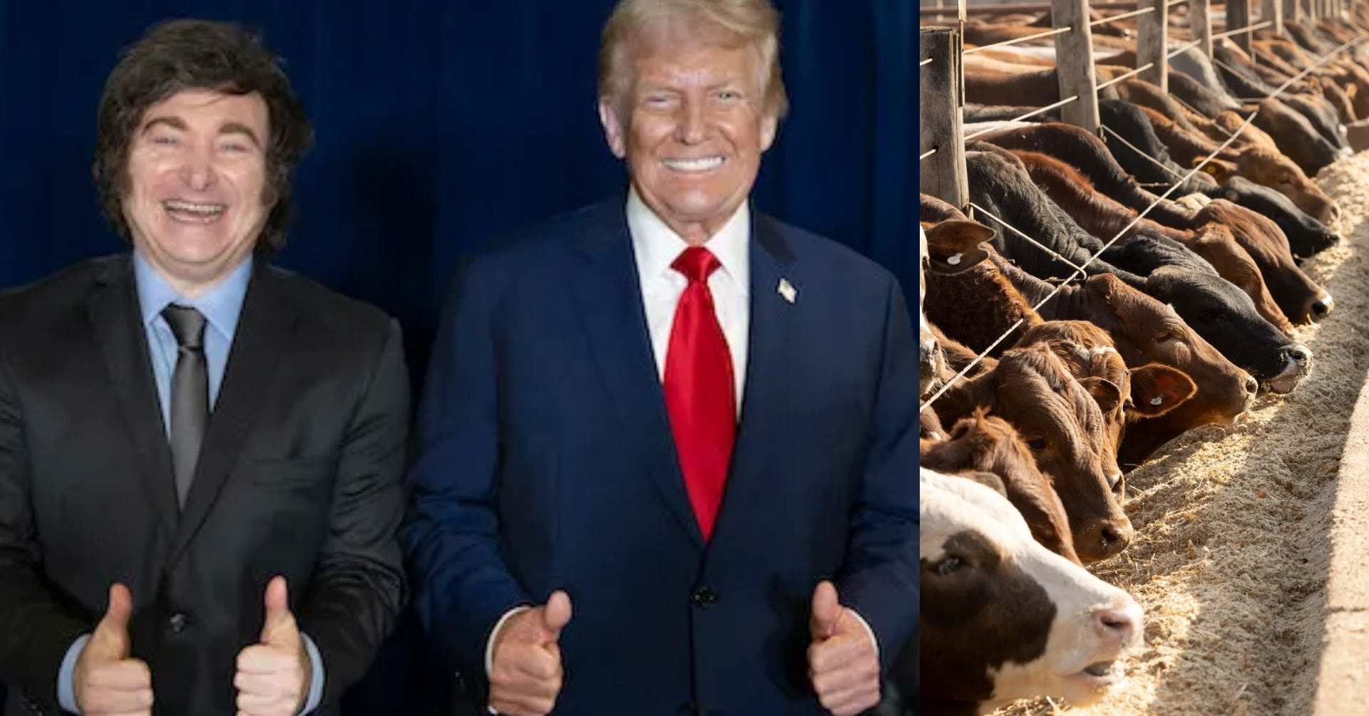 Trump Quadruples Argentine Beef Imports, Sparking GOP Rancher Uproar