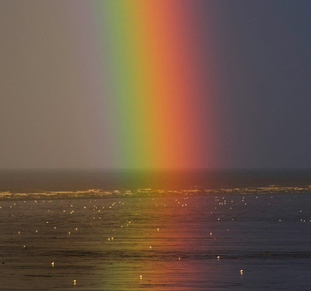 rainbow on body of water
