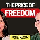 Can freedom survive in the age of frictionless control?