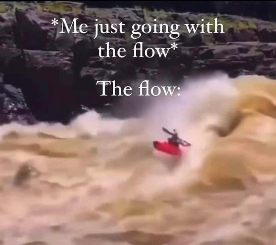 A photograph of a single person in a bright red kayak, dwarfed within the powerful churning rapids of a river. Overlaid over the photo is text. At the top of the photo, over the rocky riverbank, is text that reads, "Me just going with the flow." Directly above the churning water is the text, "The flow."