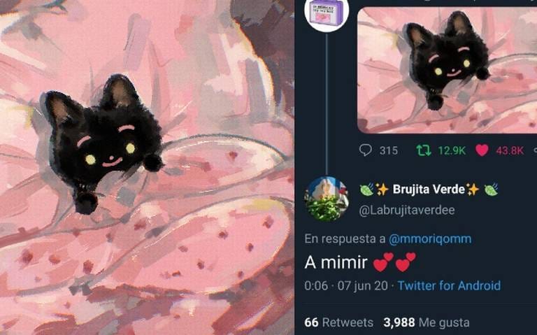 Artista japonesa nombra a su diseño “A mimir” y enternece las redes  sociales - Tribuna de San Luis | Noticias Locales, Policiacas, sobre  México, Sonora y el Mundo