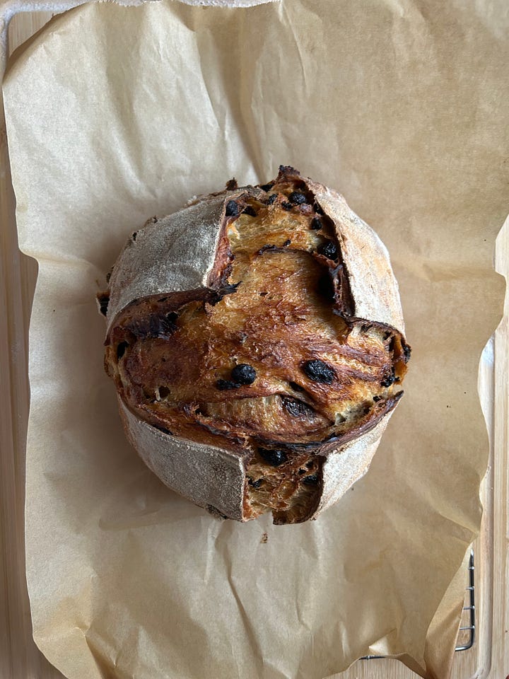 Collage of sourdough loaves, featuring an overhead shot and crumb shot of a cinnamon raisin loaf and a cranberry, white chocolate, and orange sourdough loaf.