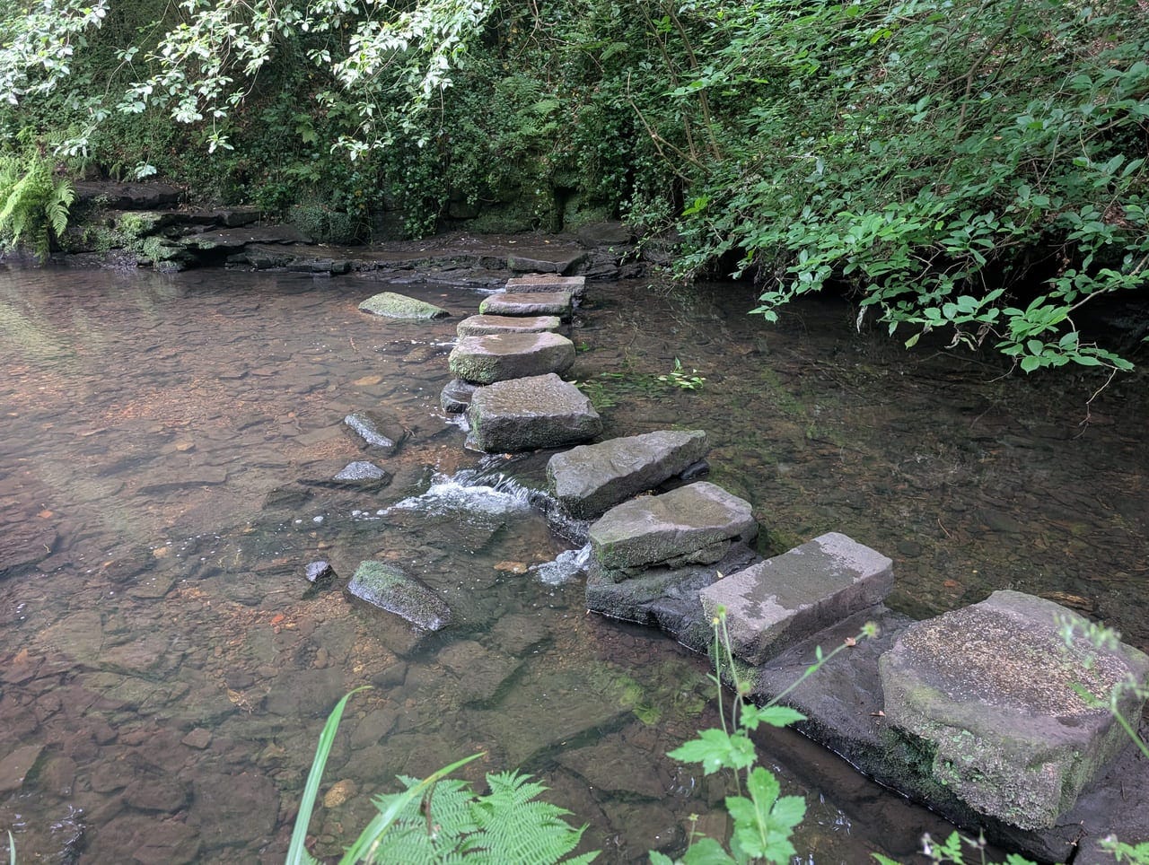 Stepping stones across a river