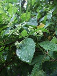 DSCF1276