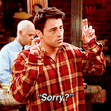 the one with — Ross + Joey + air quotes