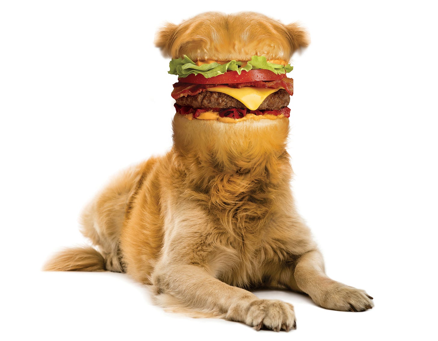When Pets And Animals Look Strangely Like Food