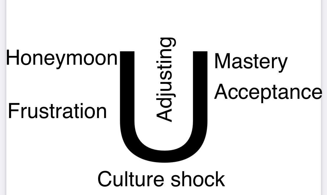 imagine of culture shock stages