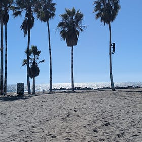 A Letter From The Editor 🌴